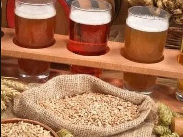 Talleres de elaboración de cerveza